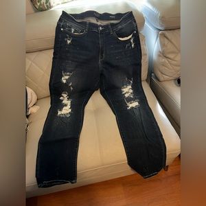 Judy Blue Boyfriend fit 18W